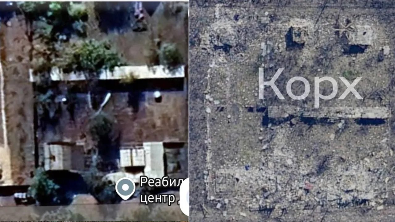 Приют для животных Дарьи Корх в Покровске